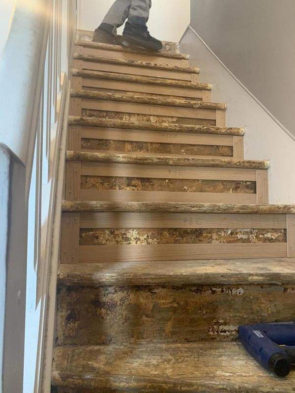 Escalier helicoidal bois a Boissy l eace